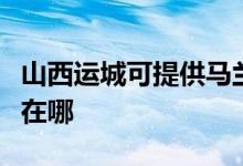 山西運城可提供馬蘭士家庭影院維修服務地址在哪