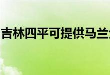 吉林四平可提供馬蘭士音響維修服務(wù)地址在哪