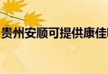 貴州安順可提供康佳吸塵器維修服務(wù)地址在哪
