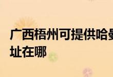 廣西梧州可提供哈曼卡頓家庭影院維修服務地址在哪