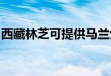 西藏林芝可提供馬蘭士音響維修服務(wù)地址在哪