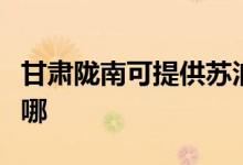 甘肅隴南可提供蘇泊爾吸塵器維修服務地址在哪