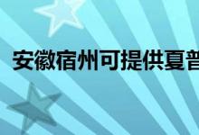安徽宿州可提供夏普音響維修服務(wù)地址在哪