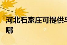 河北石家莊可提供馬蘭士音響維修服務(wù)地址在哪