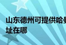 山東德州可提供哈曼卡頓家庭影院維修服務(wù)地址在哪
