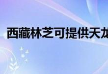 西藏林芝可提供天龍音響維修服務(wù)地址在哪