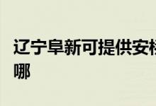 遼寧阜新可提供安橋家庭影院維修服務地址在哪