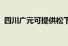 四川廣元可提供松下音響維修服務(wù)地址在哪