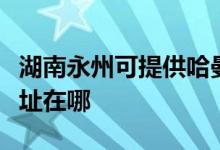湖南永州可提供哈曼卡頓家庭影院維修服務(wù)地址在哪