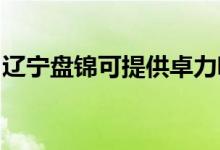 遼寧盤錦可提供卓力吸塵器維修服務(wù)地址在哪