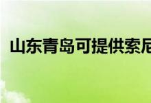 山東青島可提供索尼音響維修服務(wù)地址在哪