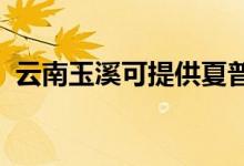 云南玉溪可提供夏普音響維修服務地址在哪