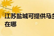 江蘇鹽城可提供馬蘭士家庭影院維修服務地址在哪