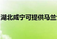 湖北咸寧可提供馬蘭士音響維修服務(wù)地址在哪