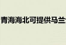 青海海北可提供馬蘭士音響維修服務(wù)地址在哪