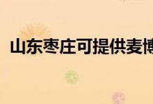山東棗莊可提供麥博音響維修服務(wù)地址在哪