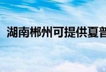 湖南郴州可提供夏普音響維修服務(wù)地址在哪