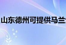山東德州可提供馬蘭士音響維修服務(wù)地址在哪