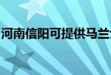 河南信陽(yáng)可提供馬蘭士音響維修服務(wù)地址在哪