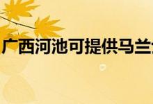 廣西河池可提供馬蘭士音響維修服務(wù)地址在哪
