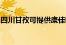 四川甘孜可提供康佳吸塵器維修服務(wù)地址在哪