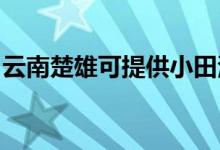 云南楚雄可提供小田清潔機(jī)維修服務(wù)地址在哪
