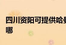 四川資陽(yáng)可提供哈曼卡頓音響維修服務(wù)地址在哪