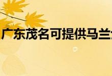 廣東茂名可提供馬蘭士音響維修服務(wù)地址在哪