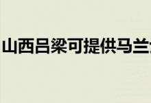 山西呂梁可提供馬蘭士音響維修服務(wù)地址在哪