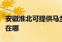 安徽淮北可提供馬蘭士家庭影院維修服務(wù)地址在哪