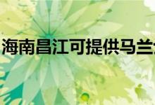 海南昌江可提供馬蘭士音響維修服務(wù)地址在哪