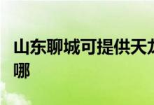 山東聊城可提供天龍家庭影院維修服務(wù)地址在哪