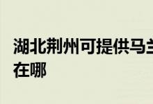 湖北荊州可提供馬蘭士家庭影院維修服務地址在哪