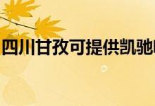 四川甘孜可提供凱馳吸塵器維修服務(wù)地址在哪