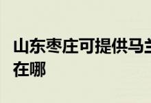 山東棗莊可提供馬蘭士家庭影院維修服務地址在哪