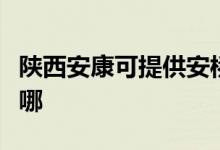 陜西安康可提供安橋家庭影院維修服務地址在哪