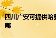 四川廣安可提供哈曼卡頓音響維修服務(wù)地址在哪