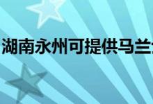 湖南永州可提供馬蘭士音響維修服務(wù)地址在哪