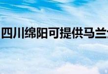 四川綿陽(yáng)可提供馬蘭士音響維修服務(wù)地址在哪