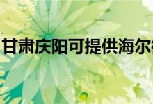 甘肅慶陽(yáng)可提供海爾微波爐維修服務(wù)地址在哪