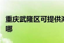 重慶武隆區(qū)可提供海爾微波爐維修服務(wù)地址在哪