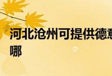 河北滄州可提供德意抽油煙機(jī)維修服務(wù)地址在哪