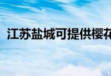 江蘇鹽城可提供櫻花浴霸維修服務(wù)地址在哪