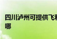 四川瀘州可提供飛利浦微波爐維修服務(wù)地址在哪