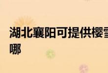 湖北襄陽可提供櫻雪抽油煙機(jī)維修服務(wù)地址在哪