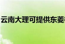 云南大理可提供東菱微波爐維修服務(wù)地址在哪