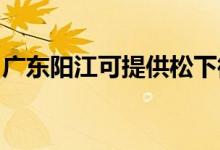 廣東陽(yáng)江可提供松下微波爐維修服務(wù)地址在哪