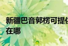 新疆巴音郭楞可提供東菱微波爐維修服務(wù)地址在哪