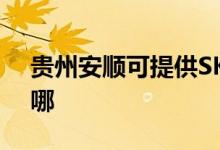 貴州安順可提供SKG微波爐維修服務(wù)地址在哪