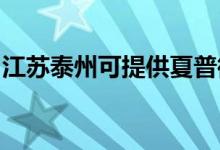 江蘇泰州可提供夏普微波爐維修服務地址在哪